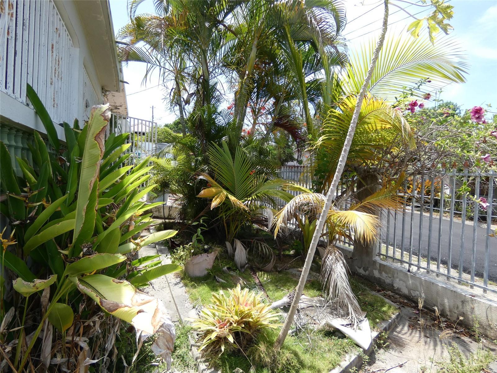 491 Calle Gladiola Property Photo 3