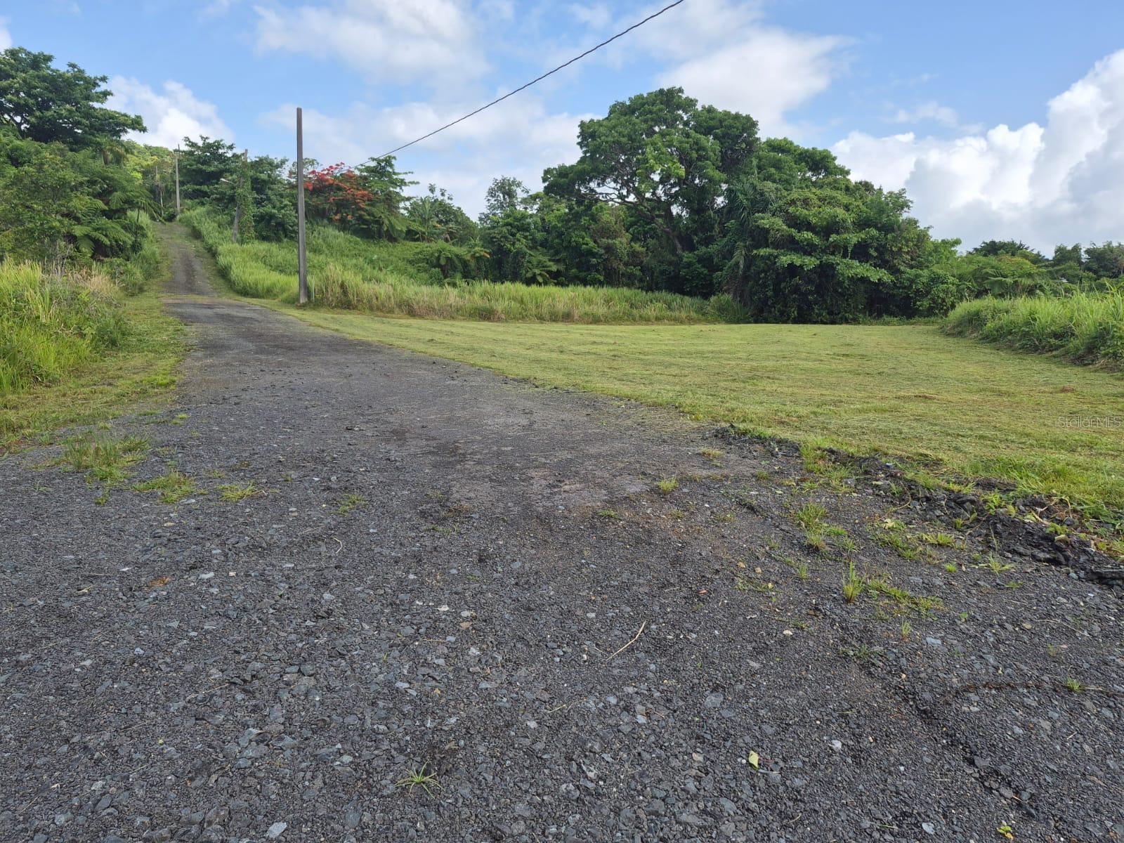 Pr 956 Km 8.8 E Sector Los Medinas Bo Guzman Arriba Property Photo 2