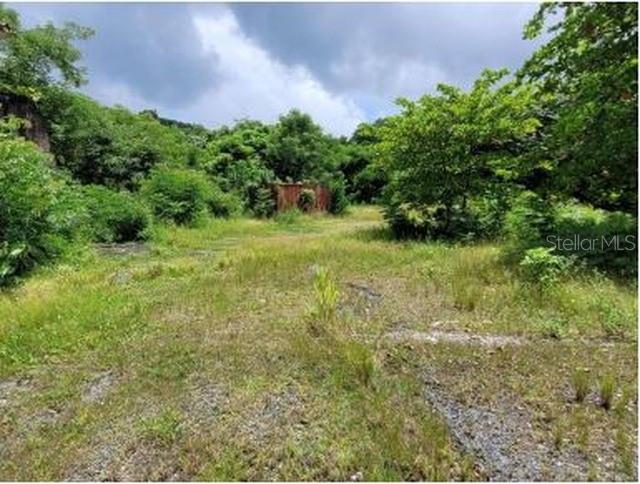 Felipe La Voz Rodriguez Property Photo 1