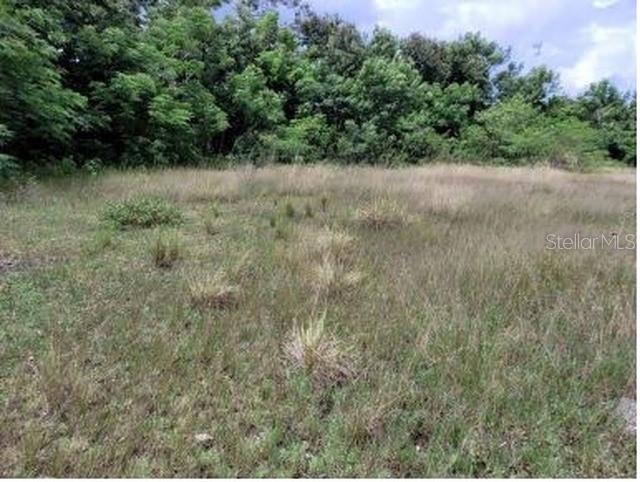 Felipe La Voz Rodriguez Property Photo 2