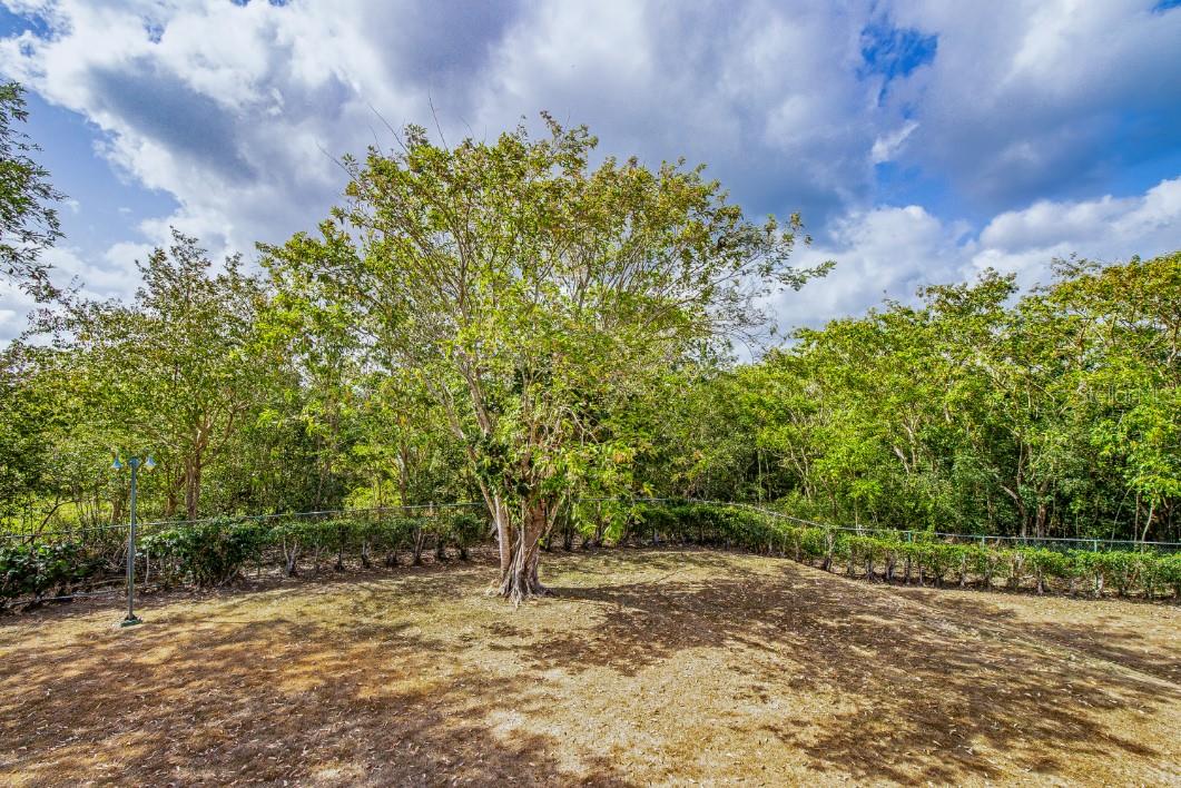 PR9122099 Property Photo 10