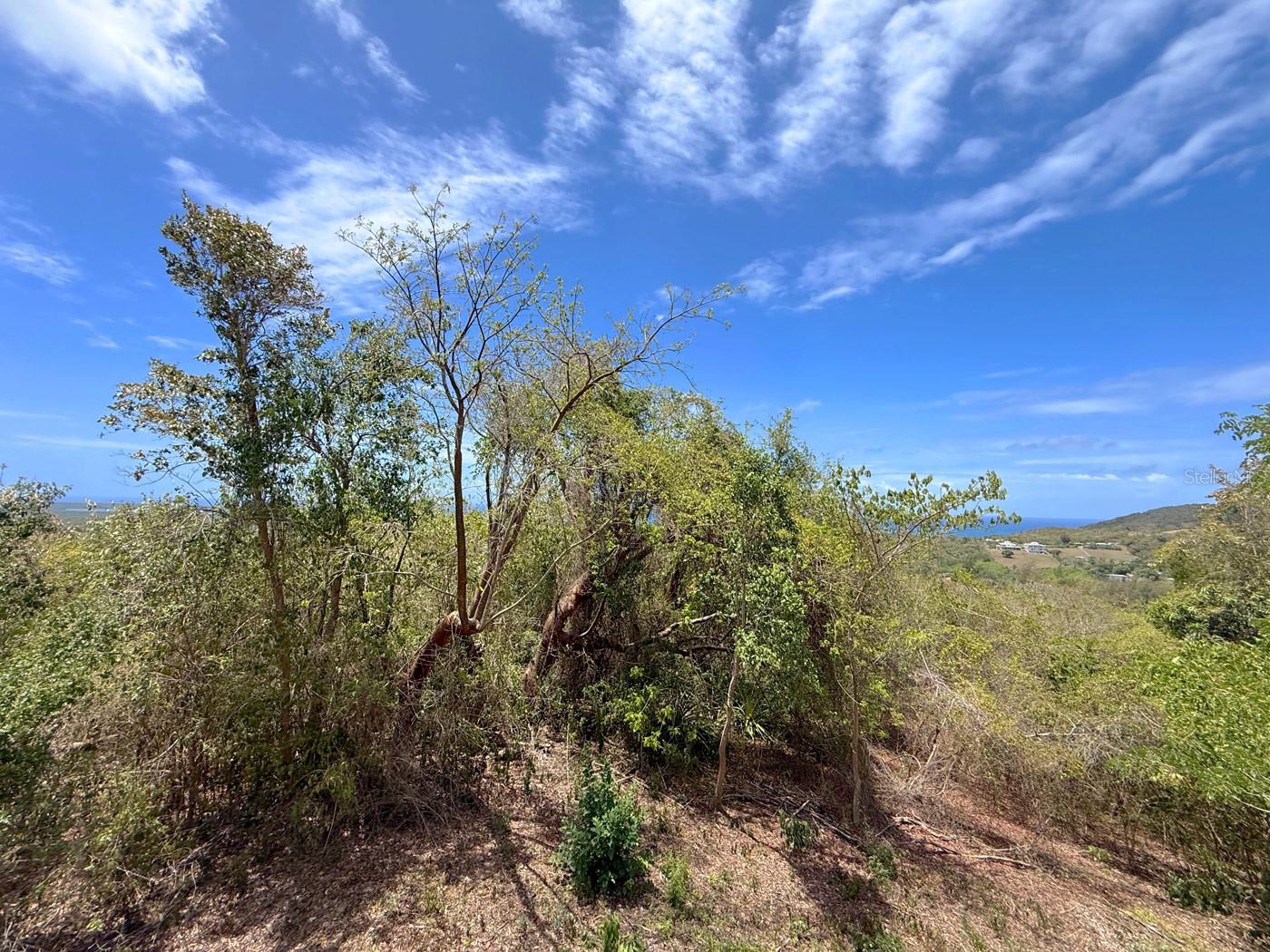 89 Calle Casa Hix Property Photo 3