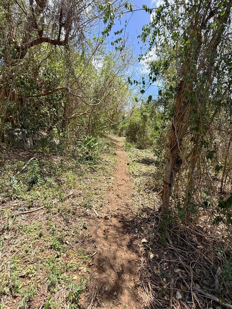 89 Calle Casa Hix Property Photo 7