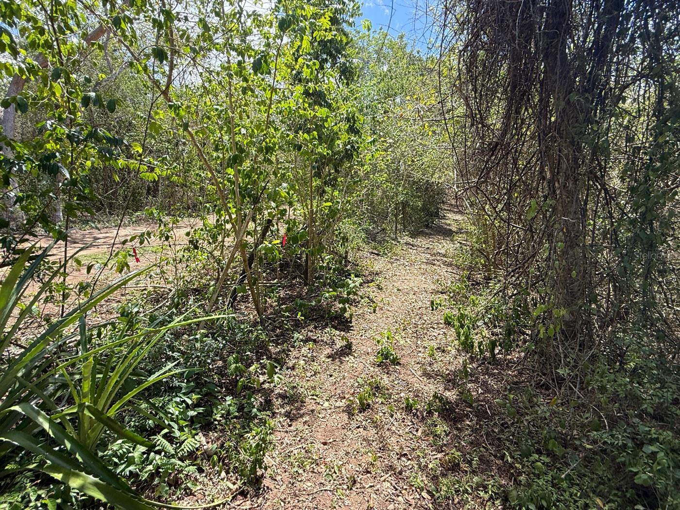 89 Calle Casa Hix Property Photo 8