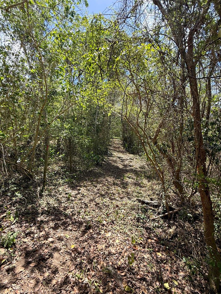 89 Calle Casa Hix Property Photo 9