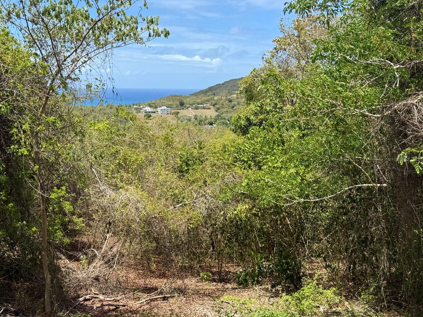 89 Calle Casa Hix Property Photo 10
