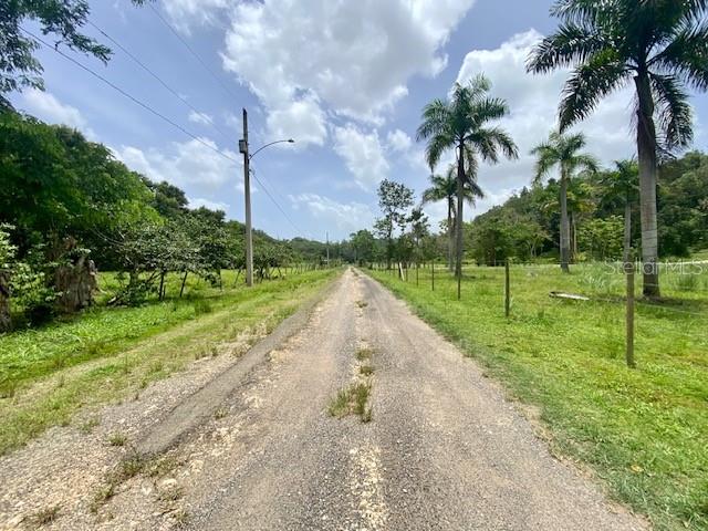 Pr 155 Ramal 646 Property Photo 4