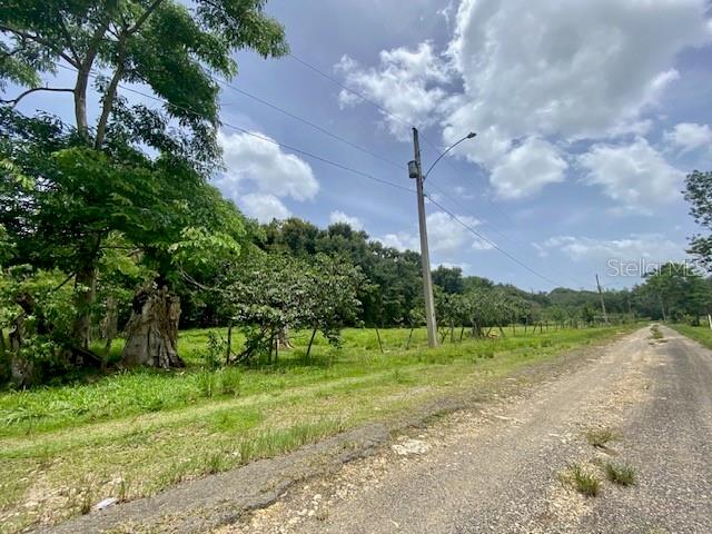 Pr 155 Ramal 646 Property Photo 5