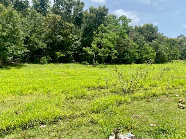 Pr 155 Ramal 646 Property Photo 7
