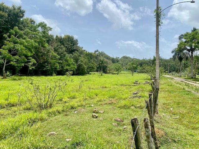 Pr 155 Ramal 646 Property Photo 8