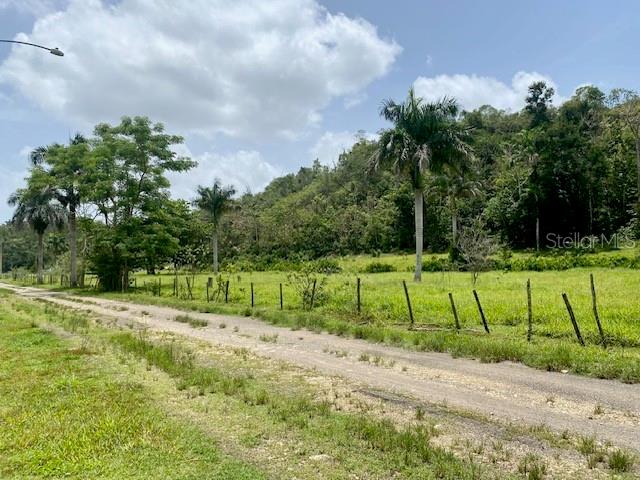 Pr 155 Ramal 646 Property Photo 9