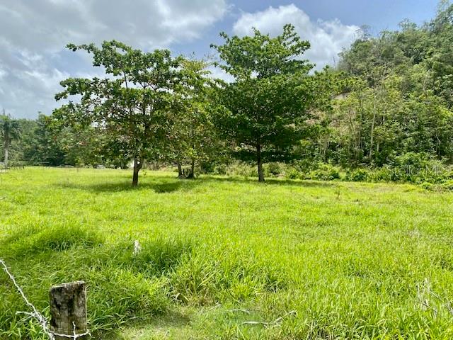 Pr 155 Ramal 646 Property Photo 10
