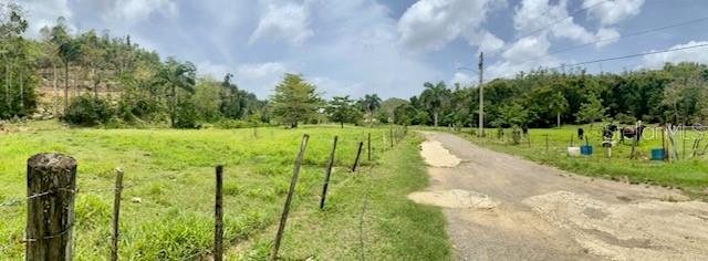 Pr 155 Ramal 646 Property Photo 12