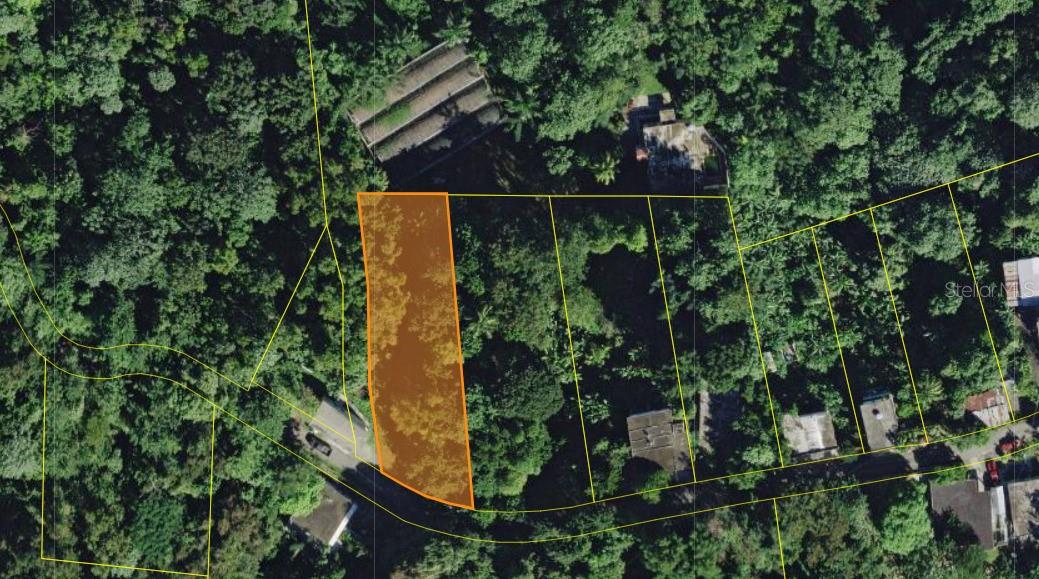 Cain Alto. Bo. Hoconuco Alto Property Photo 3