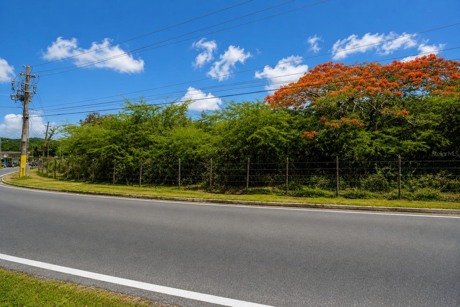 Pr 201 Bo Florida Property Photo 4
