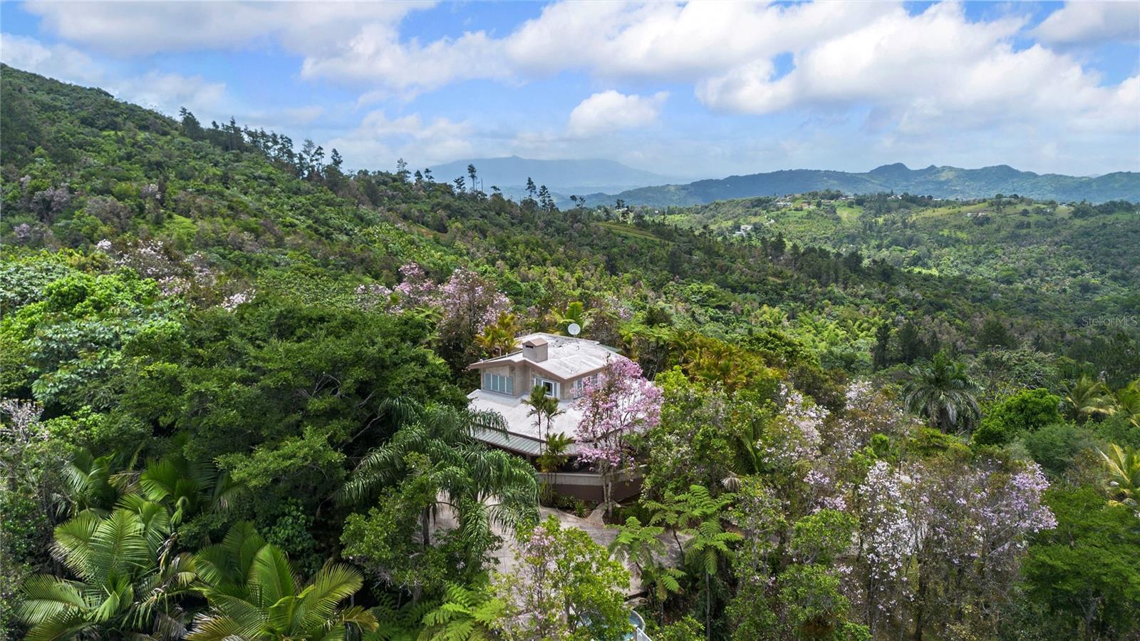 Pr-184 Guavate Property Photo 1