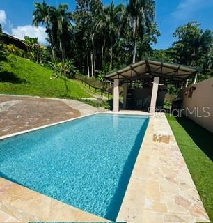 Cofresi Mameyes #57 Property Photo 9