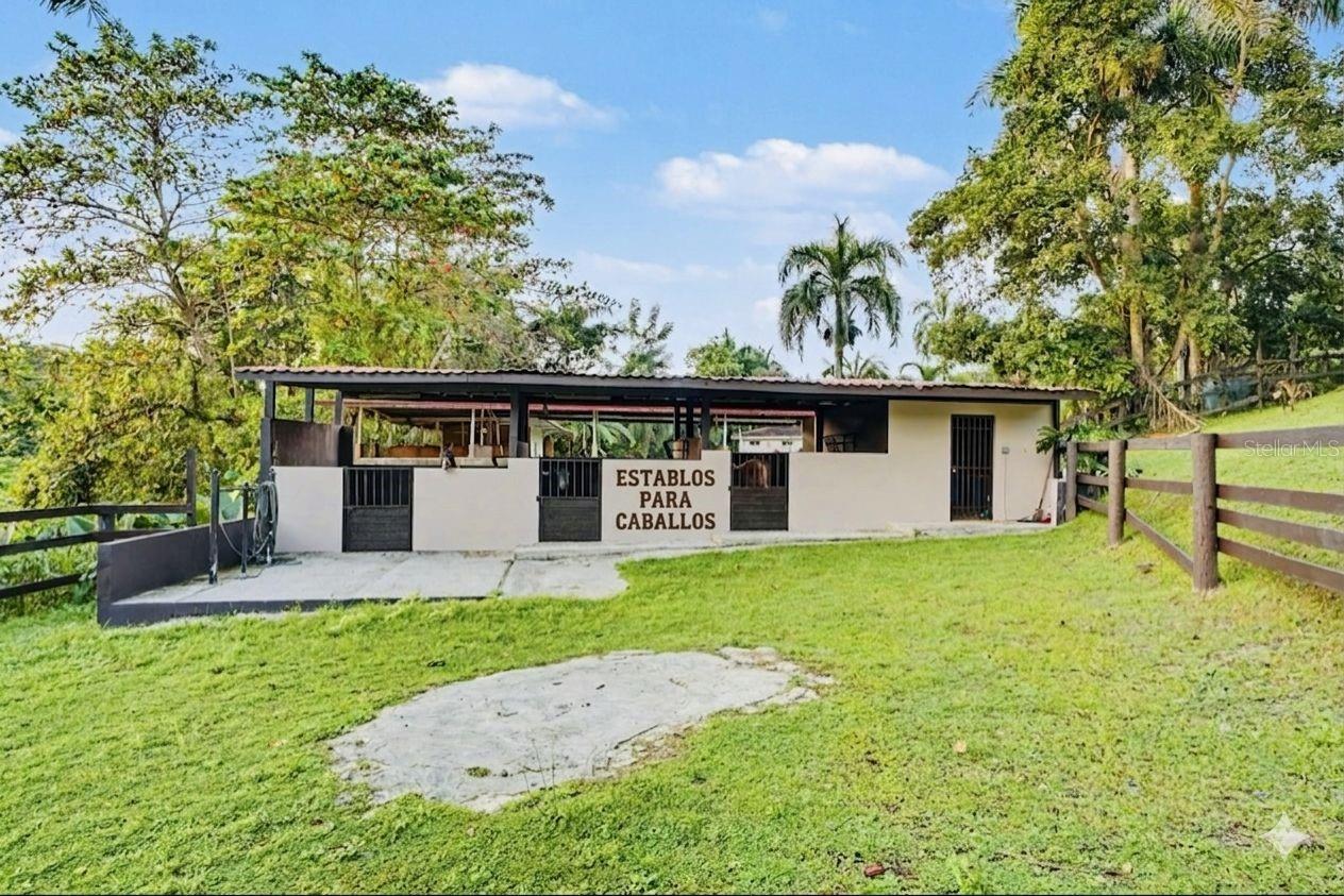 Cofresi Mameyes #57 Property Photo 11