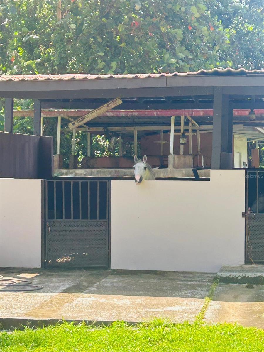 Cofresi Mameyes #57 Property Photo 17