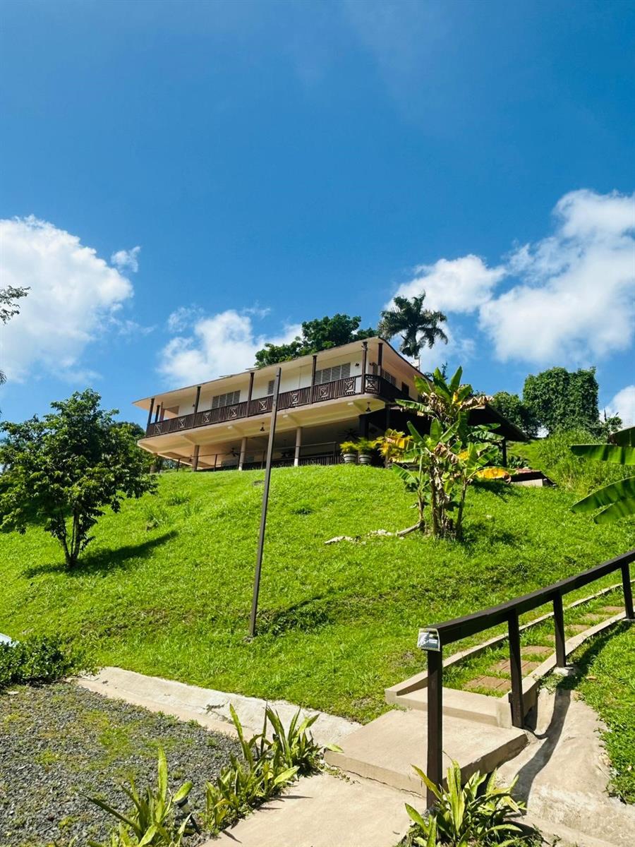 Cofresi Mameyes #57 Property Photo 19