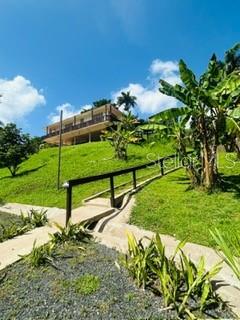 Cofresi Mameyes #57 Property Photo 25