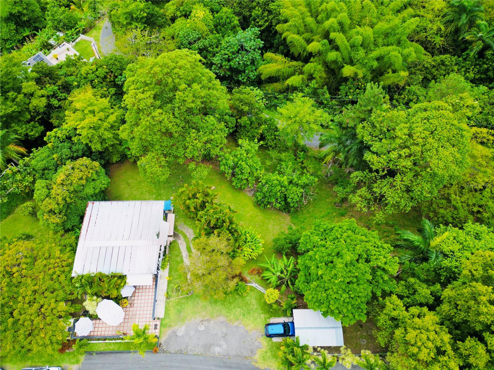 1-e Villas De Monte Verde Property Photo 3