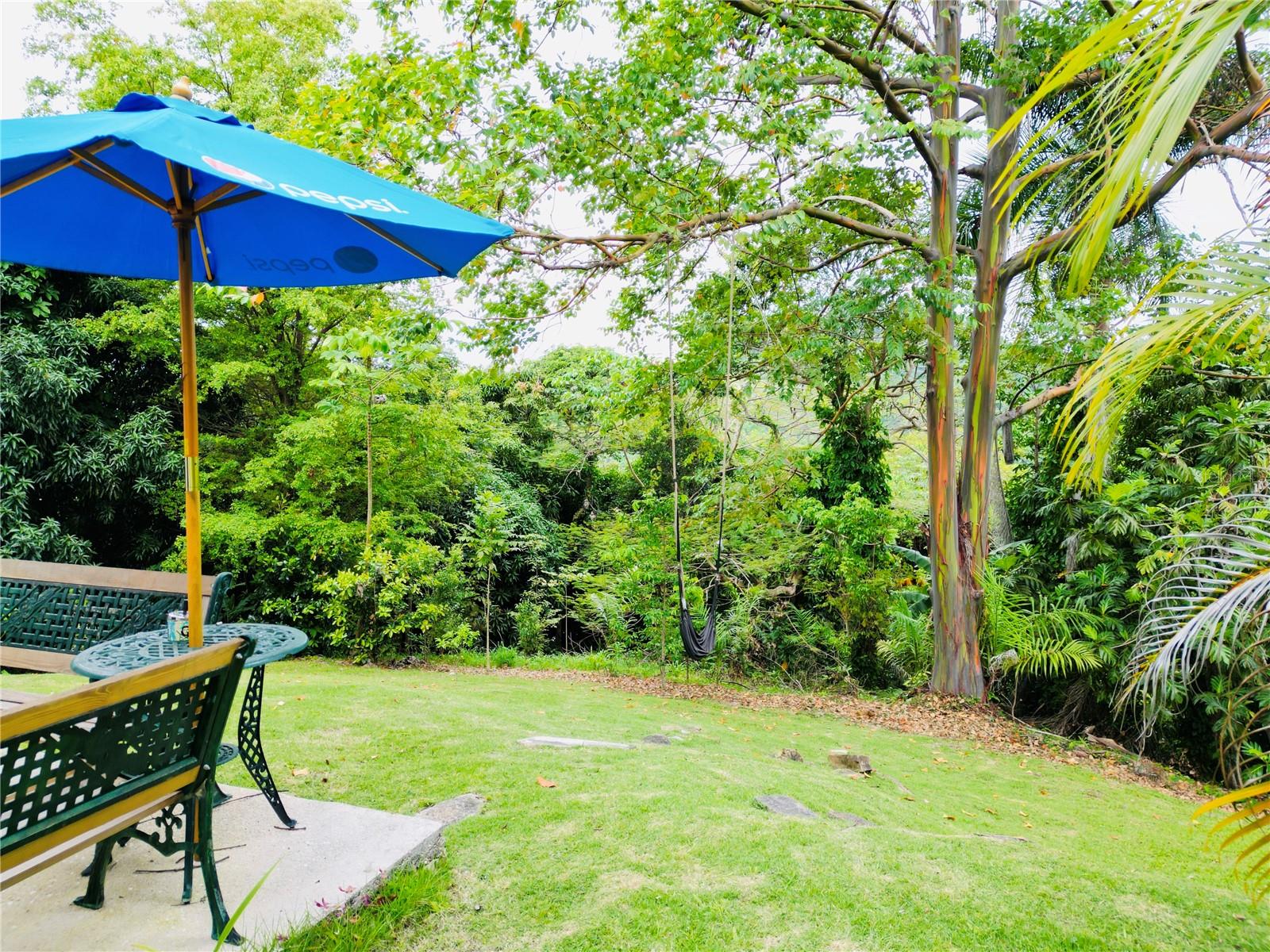1-e Villas De Monte Verde Property Photo 17