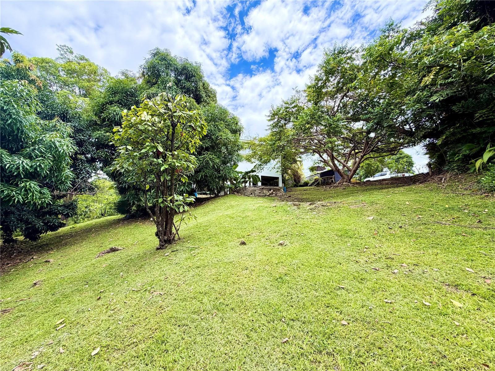 1-e Villas De Monte Verde Property Photo 18