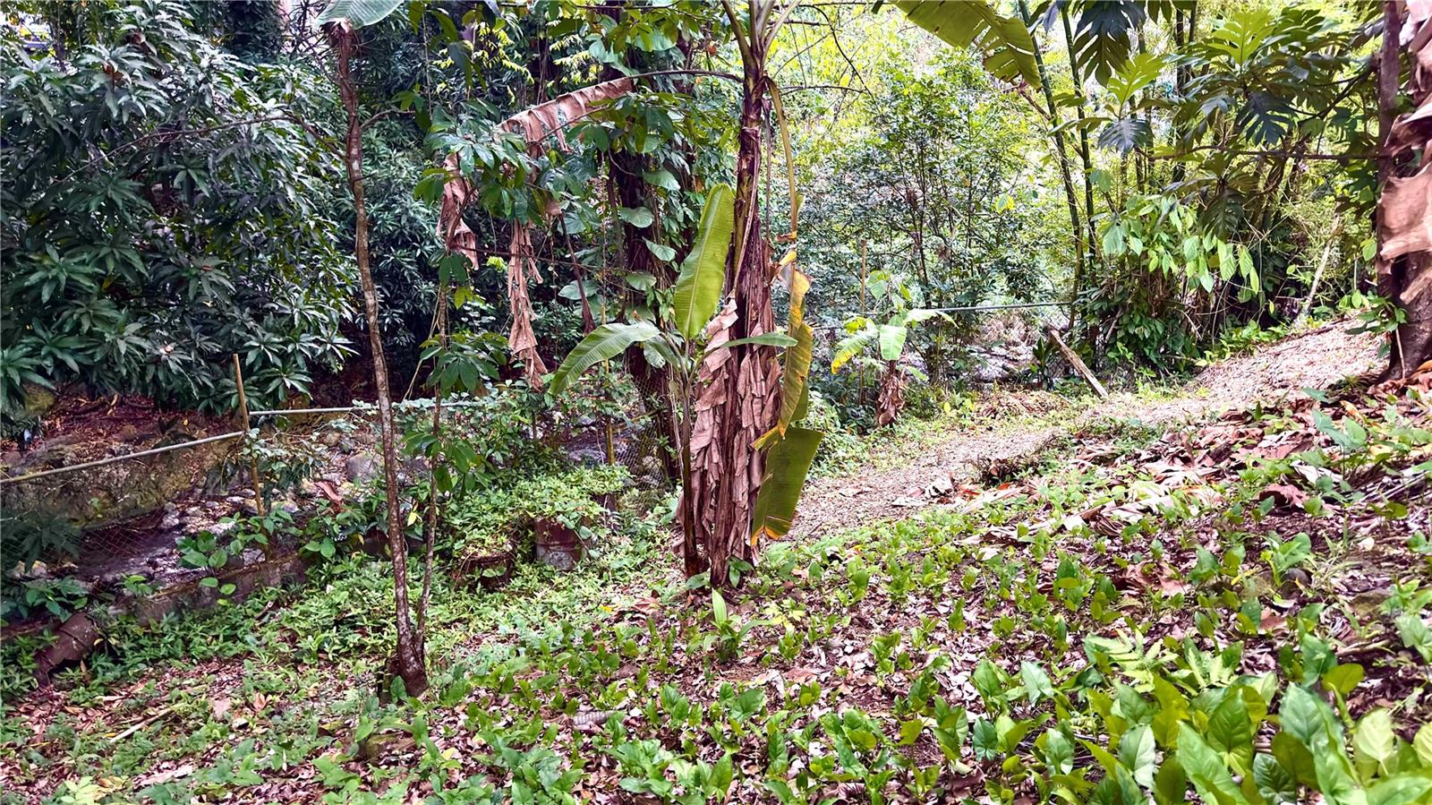 PR9122355 Property Photo 11