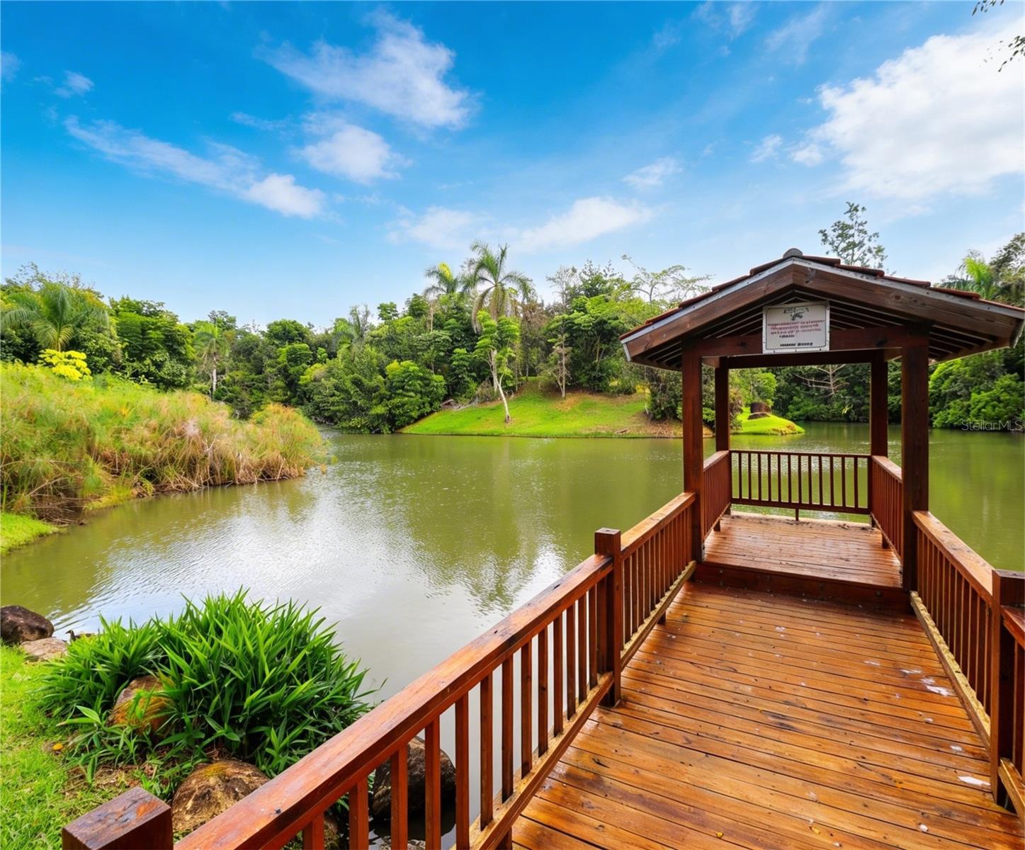 160 Camino De Las Pomarrosas Urb. Hacienda Sabanera Property Photo 15
