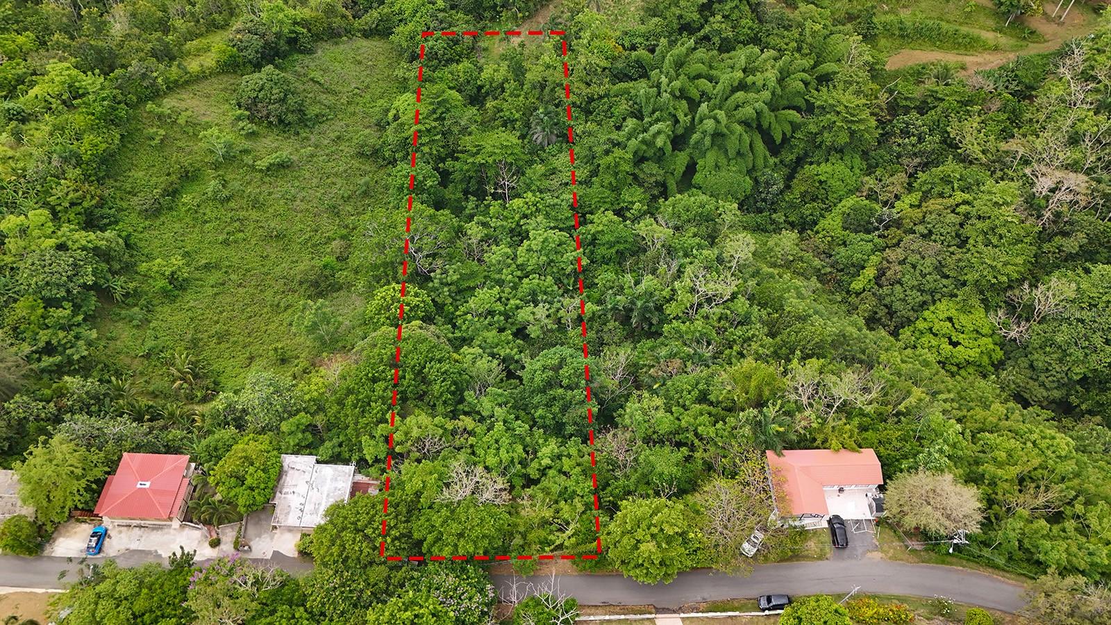 Secret Spot Carr 4414 Property Photo 5
