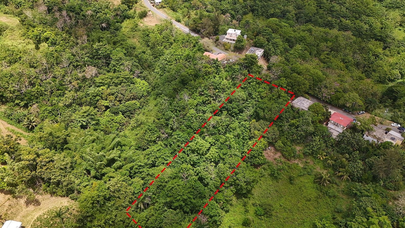 Secret Spot Carr 4414 Property Photo 7