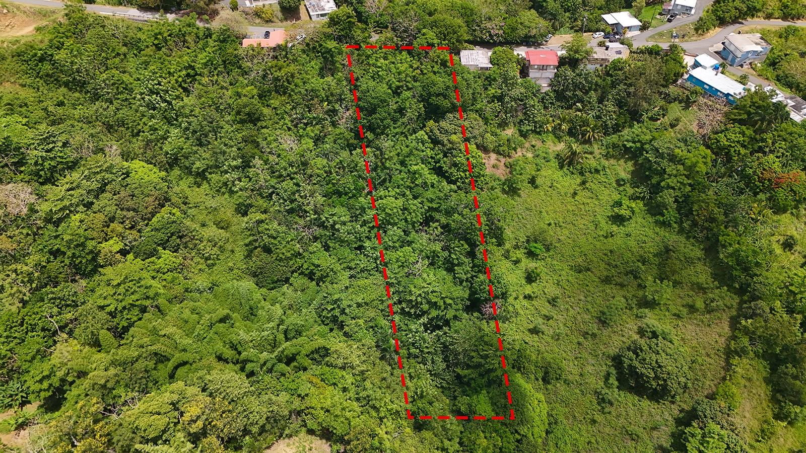 Secret Spot Carr 4414 Property Photo 9