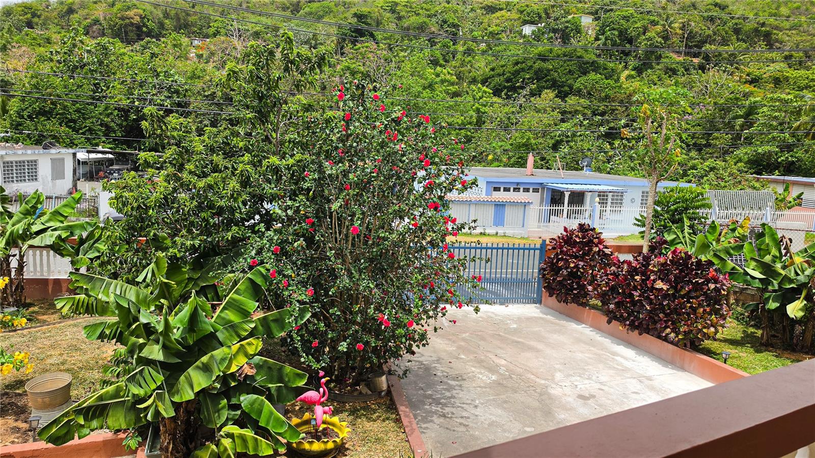 Carr. 985 Km 3.0 Bo. Florencio Property Photo 31
