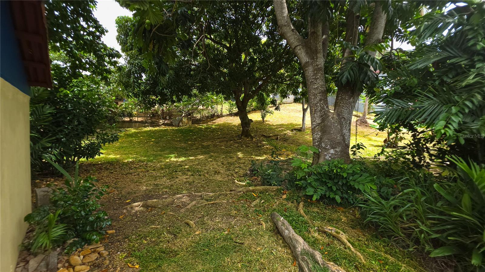 Carr. 985 Km 3.0 Bo. Florencio Property Photo 39