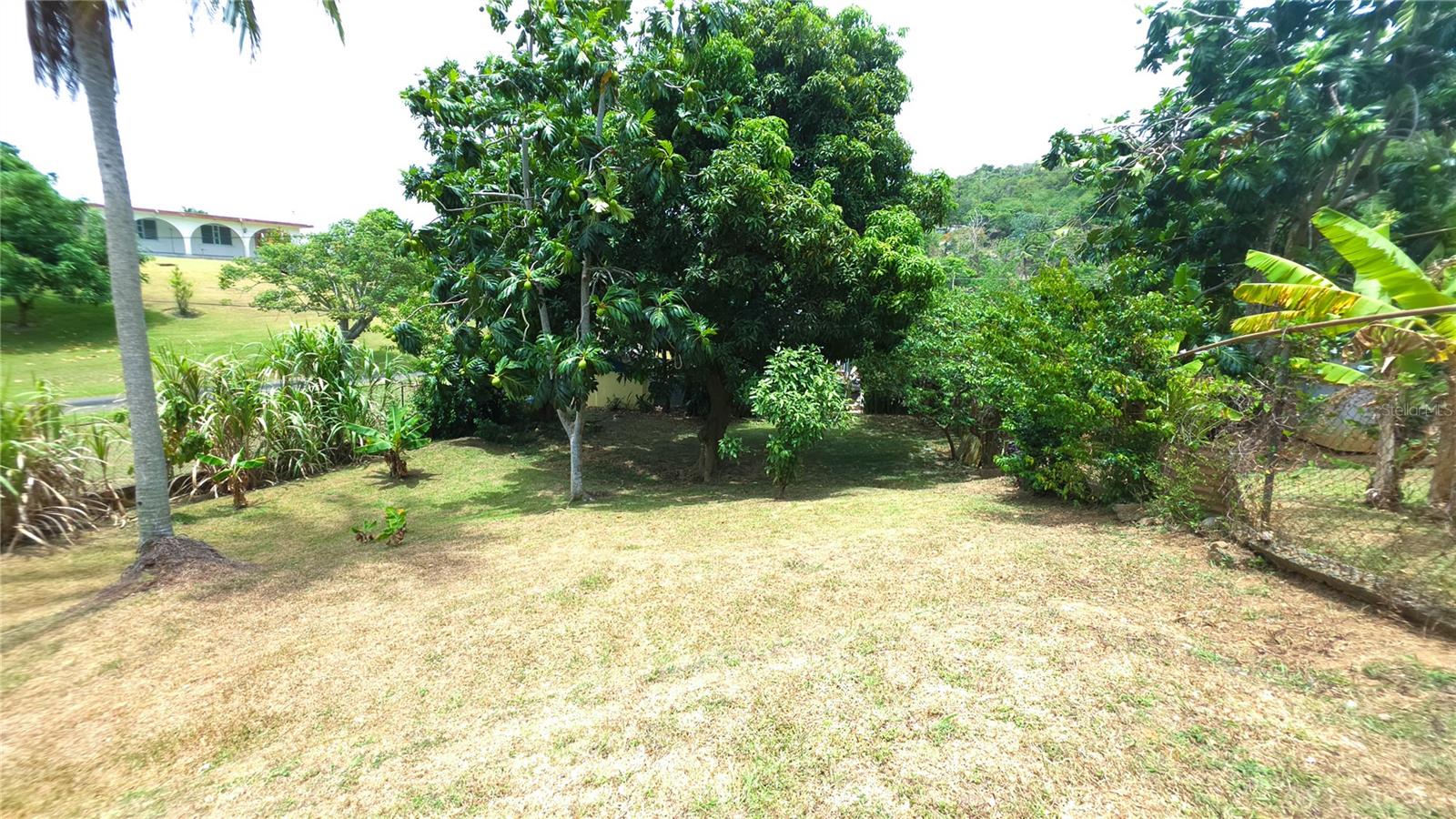 Carr. 985 Km 3.0 Bo. Florencio Property Photo 42