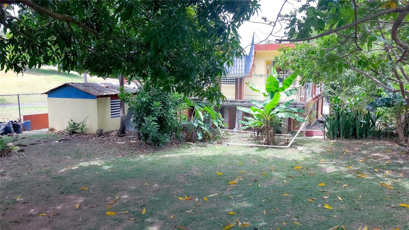 Carr. 985 Km 3.0 Bo. Florencio Property Photo 43