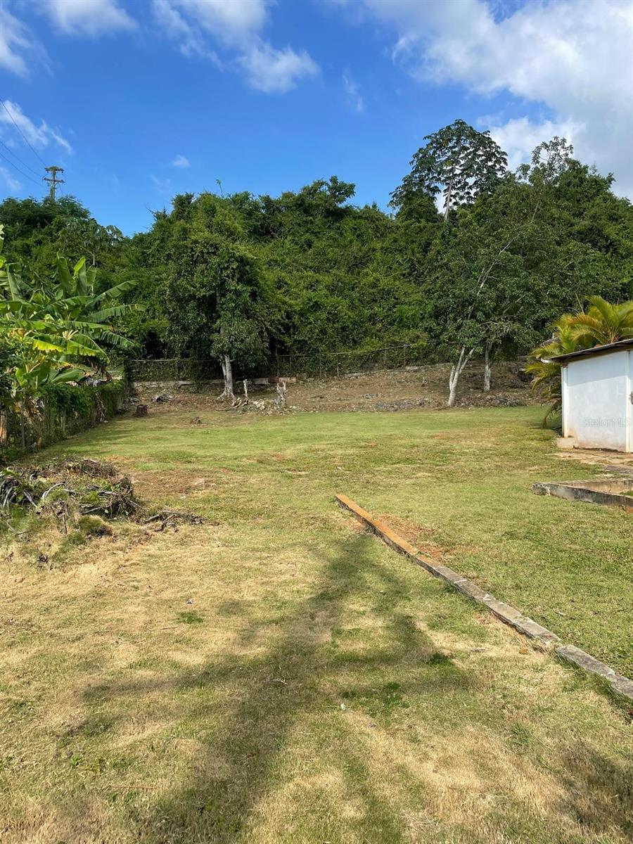 51 Calle Parque Property Photo 14