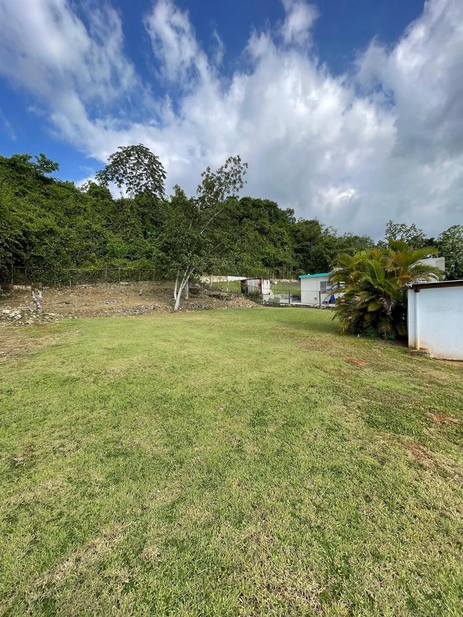 51 Calle Parque Property Photo 15