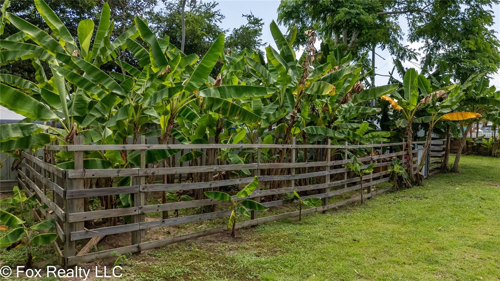 Bo Espinal Property Photo 12