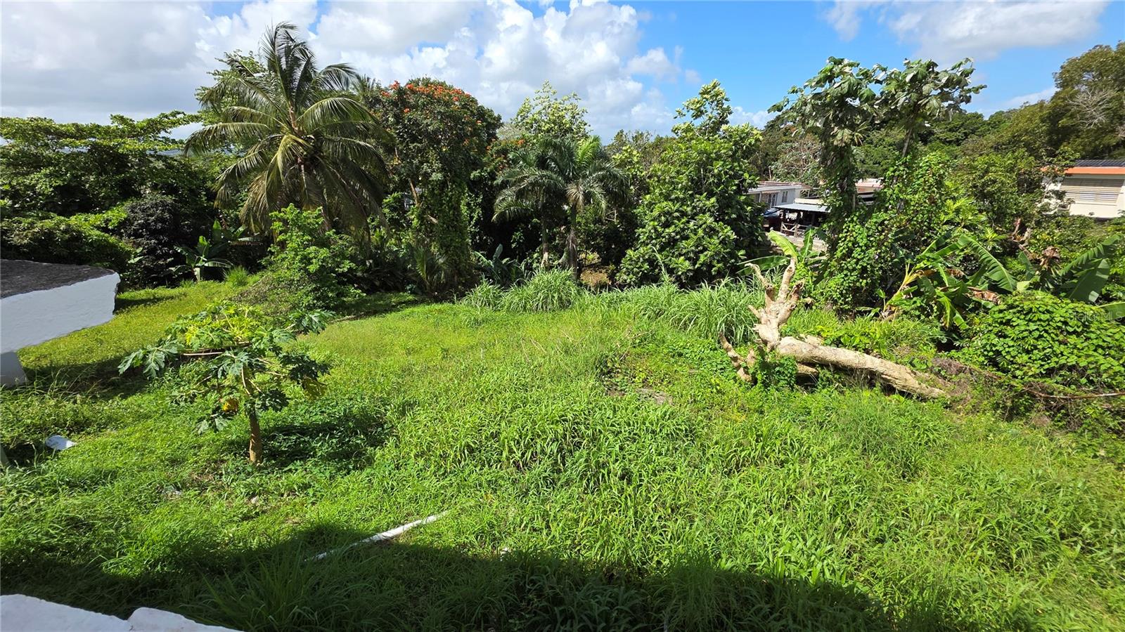 Pr 922 Km 0.4 Bo. Collores Property Photo 11
