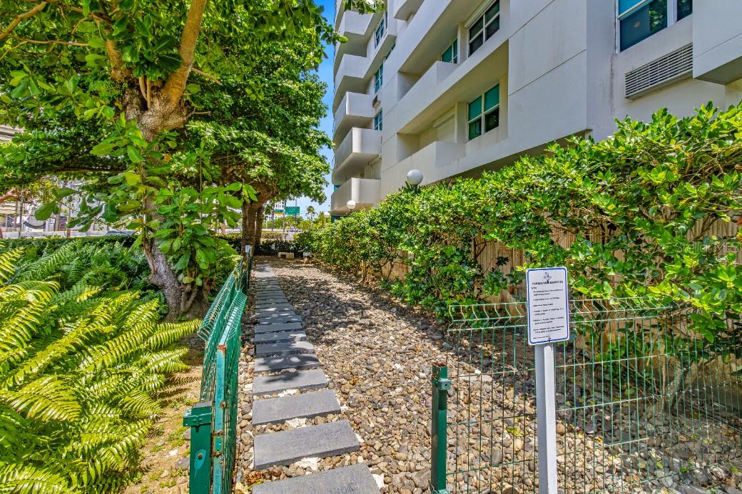 550 Avenida Constitucion #810 Property Photo 6