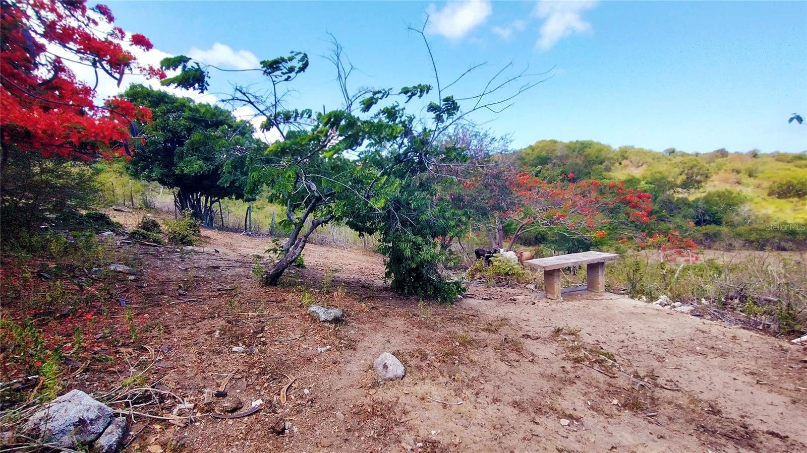 Destino No 3 Destino Property Photo 23