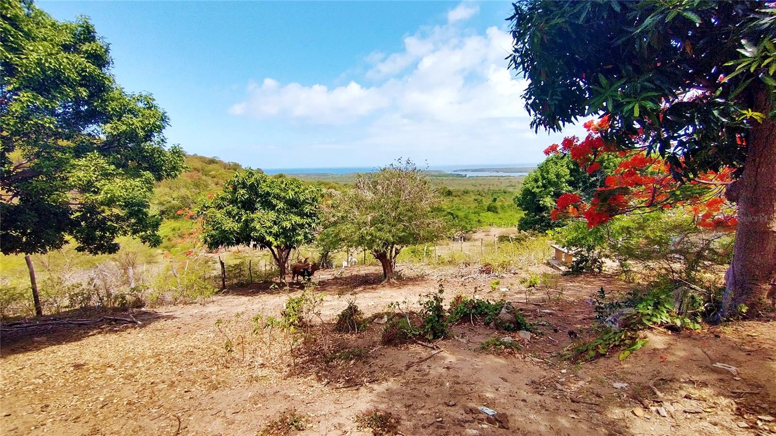 Destino No 3 Destino Property Photo 24
