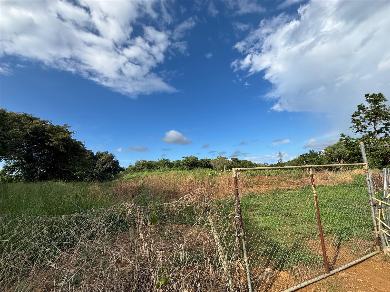 Barrio Ceiba Baja Property Photo 1
