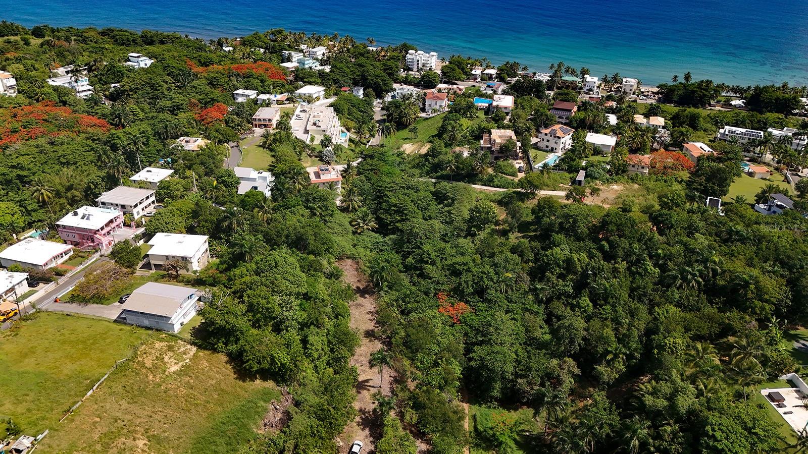 Puntas Paradise-- Calle Vista Del Mar Property Photo 6