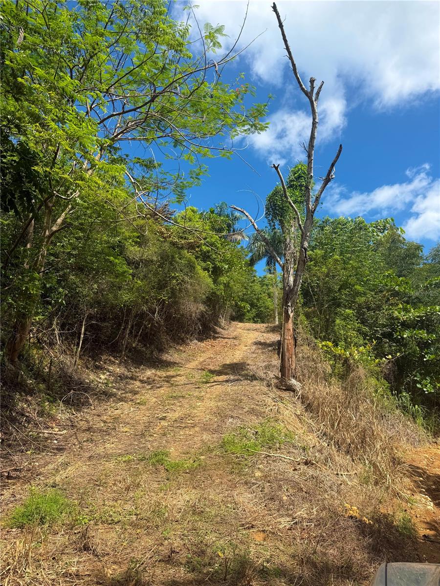 Puntas Paradise-- Calle Vista Del Mar Property Photo 7