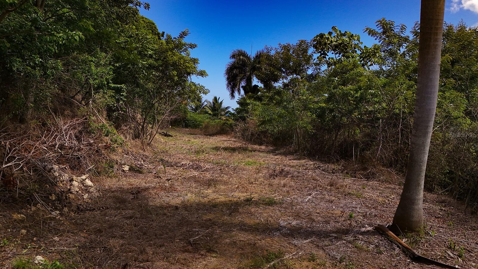 Puntas Paradise-- Calle Vista Del Mar Property Photo 8