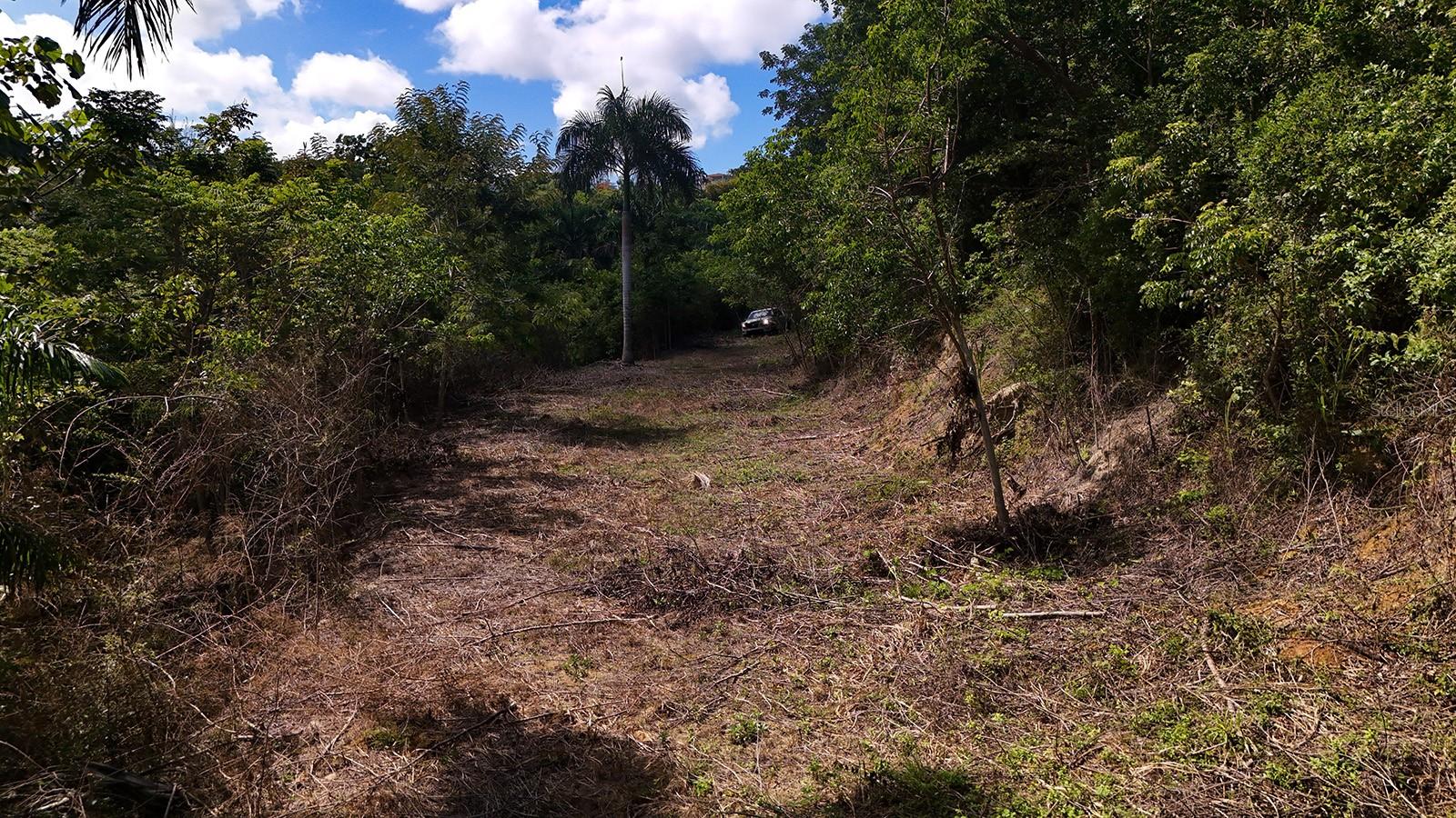 Puntas Paradise-- Calle Vista Del Mar Property Photo 9