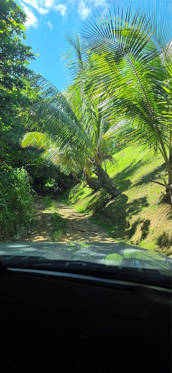 Puntas Paradise-- Calle Vista Del Mar Property Photo 12